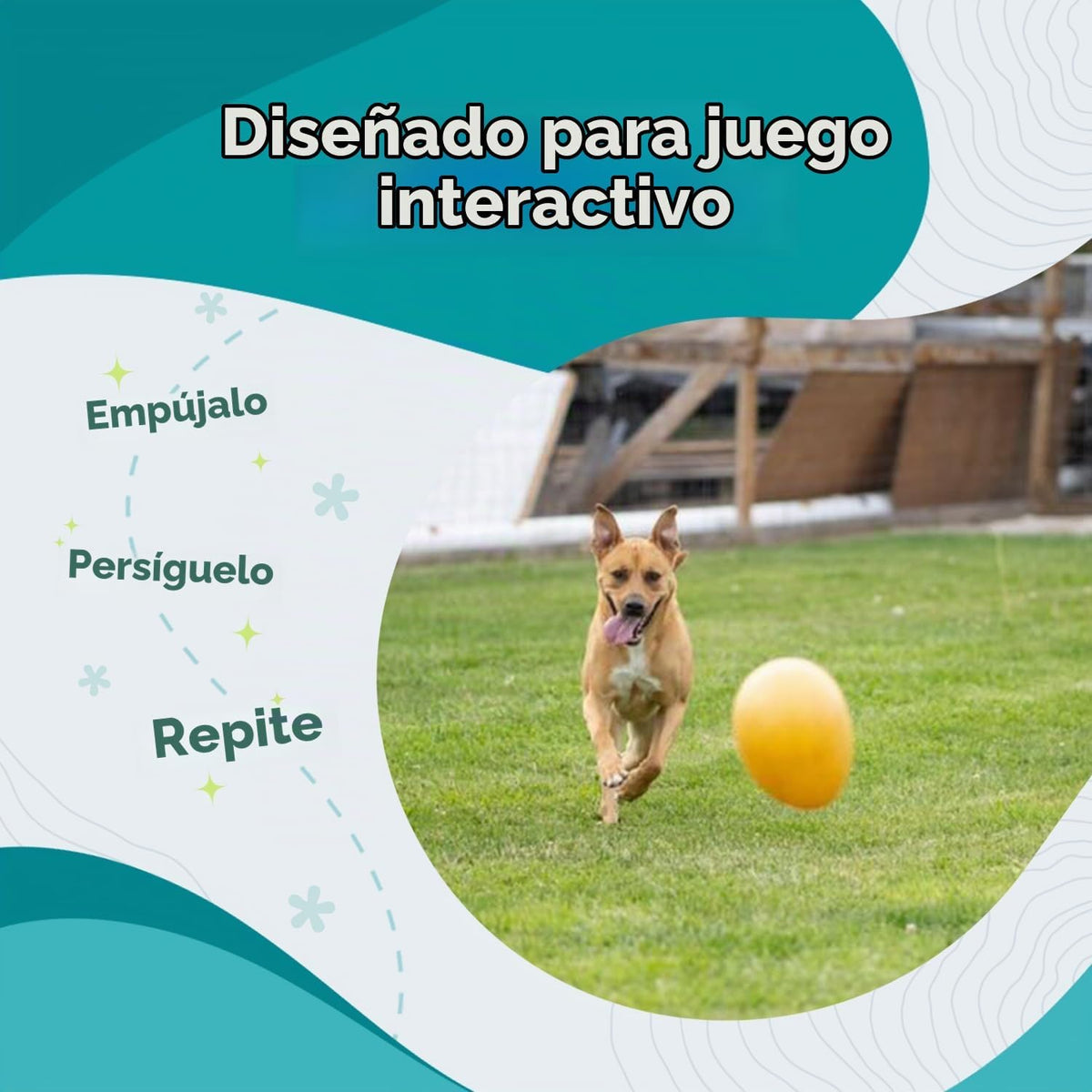 Juguete Jolly Egg para perros de Jolly Pets, 12 Pulgadas\/Grande, A...