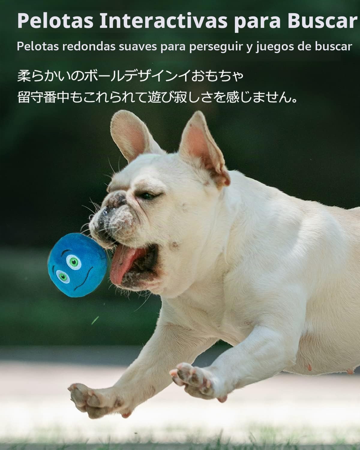 SCHITEC Juguetes chirriantes para perros, [6 unidades] Pelotas de f...