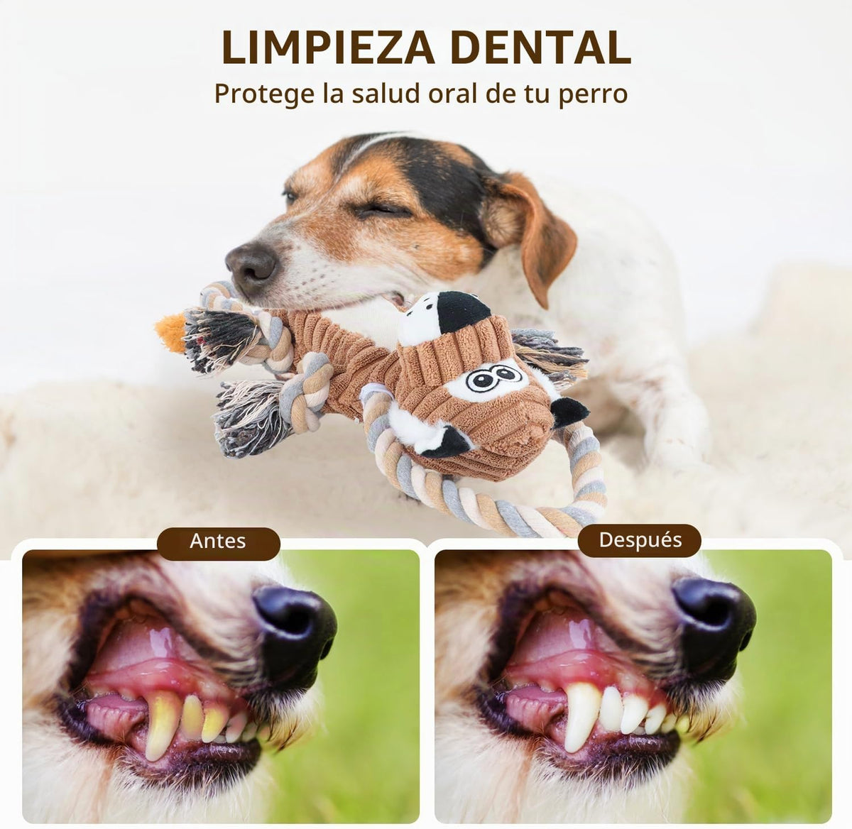 CneeeeeB Juguetes Chirriantes para Perros Interactivos Duraderos co...