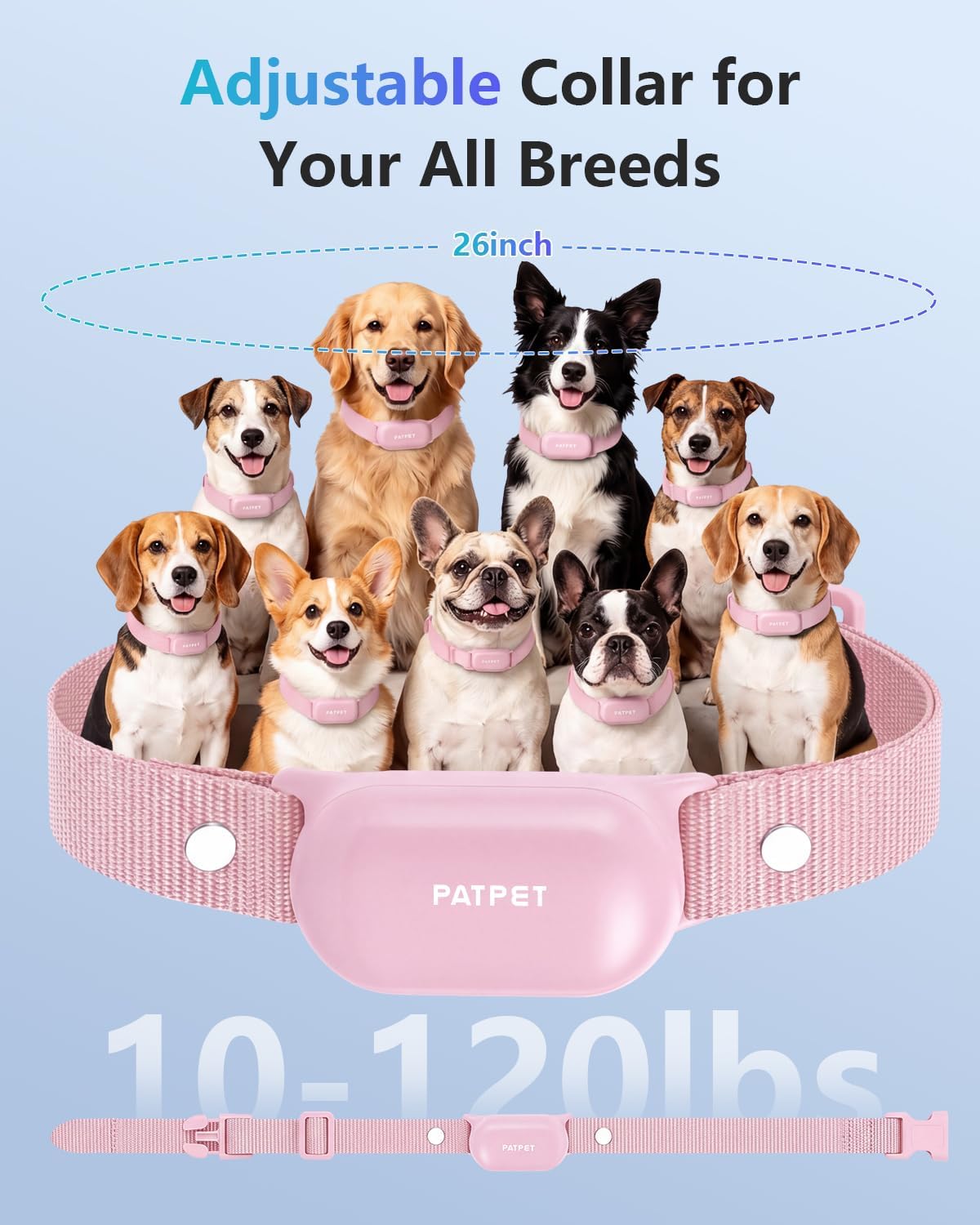 PATPET Collar de Entrenamiento para Perros con Control Remoto - Col...
