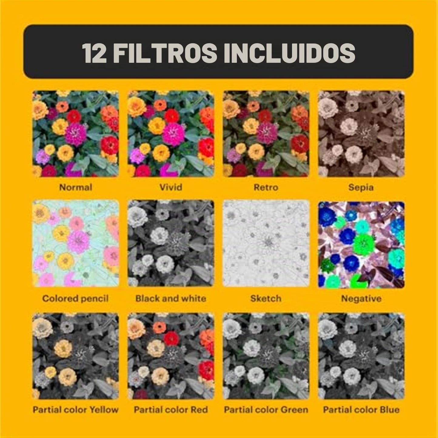 Kodak PIXPRO C1 - Cámara digital compacta (negro) con tarjeta micro...