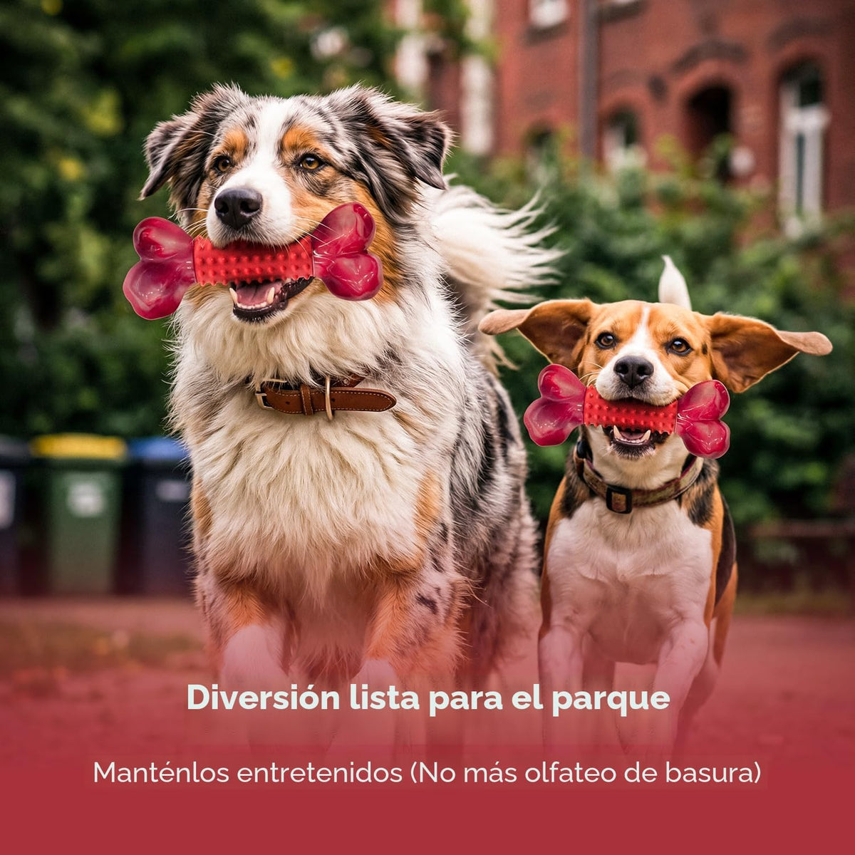 Apasiri Juguetes resistentes para perros masticadores agresivos Sab...