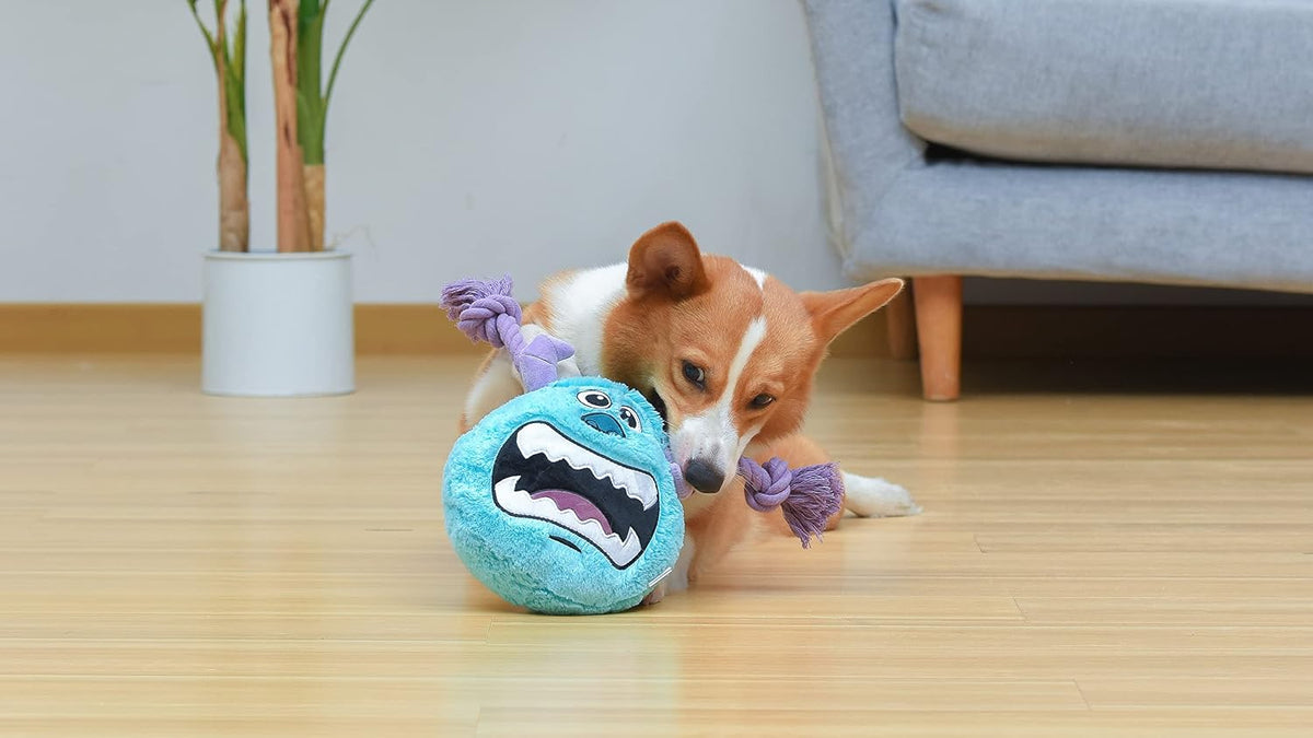 Disney for Pets Pixar Monsters Inc Sulley - Juguete para perro con...