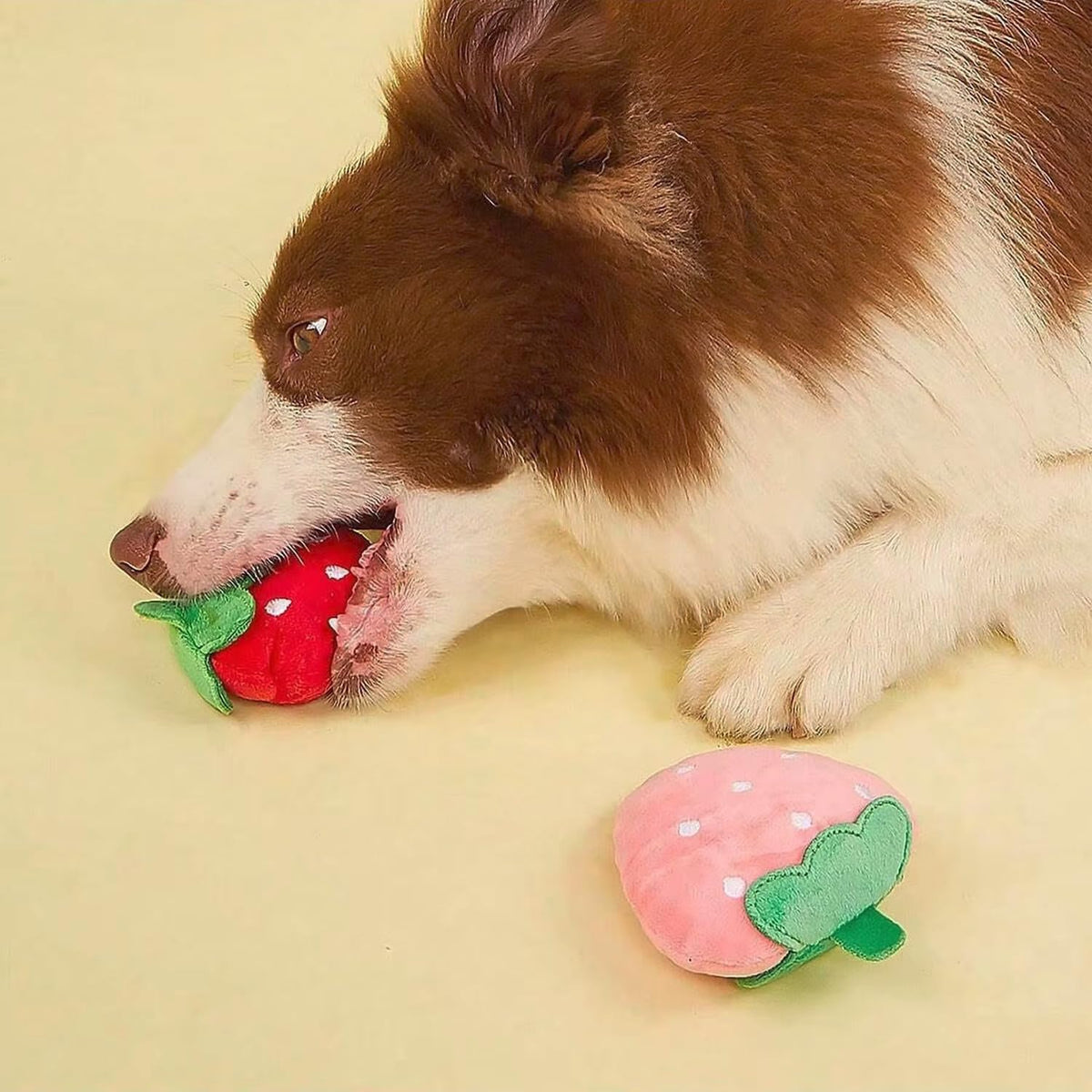 Juguetes para perros pequeños, paquete de 4 juguetes de peluche par...