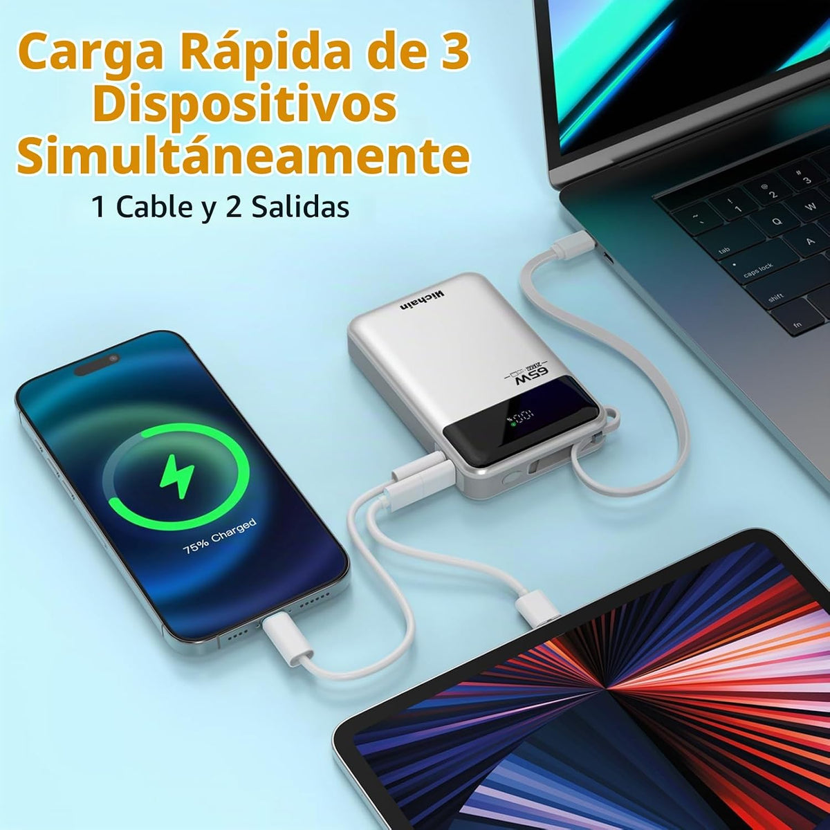 Hichain Banco de energía para portátil de 65 W, 20000 mAh, cargador...