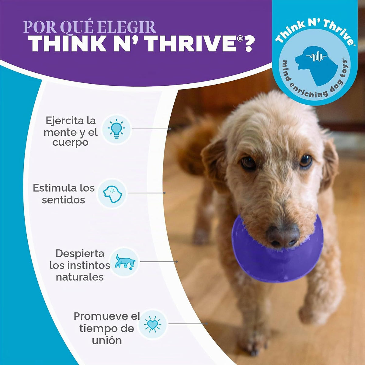 Planet Dog Orbee-Tuff Lil' Snoop - Juguete interactivo para per...