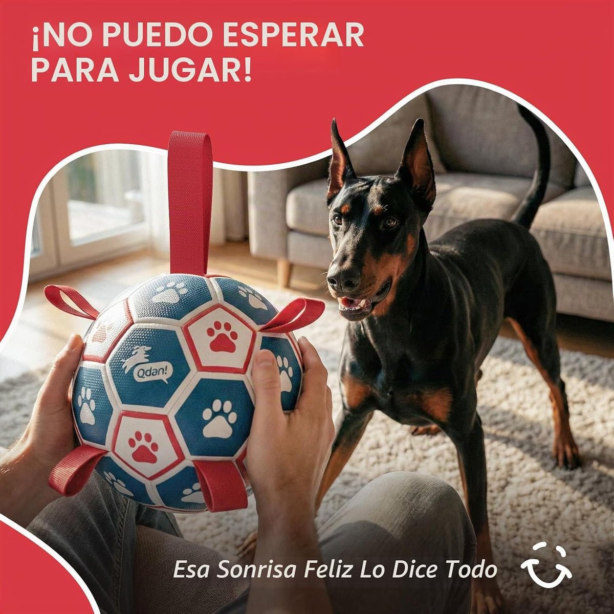 QDAN Juguete grande para perros al aire libre, pelota de fútbol con...