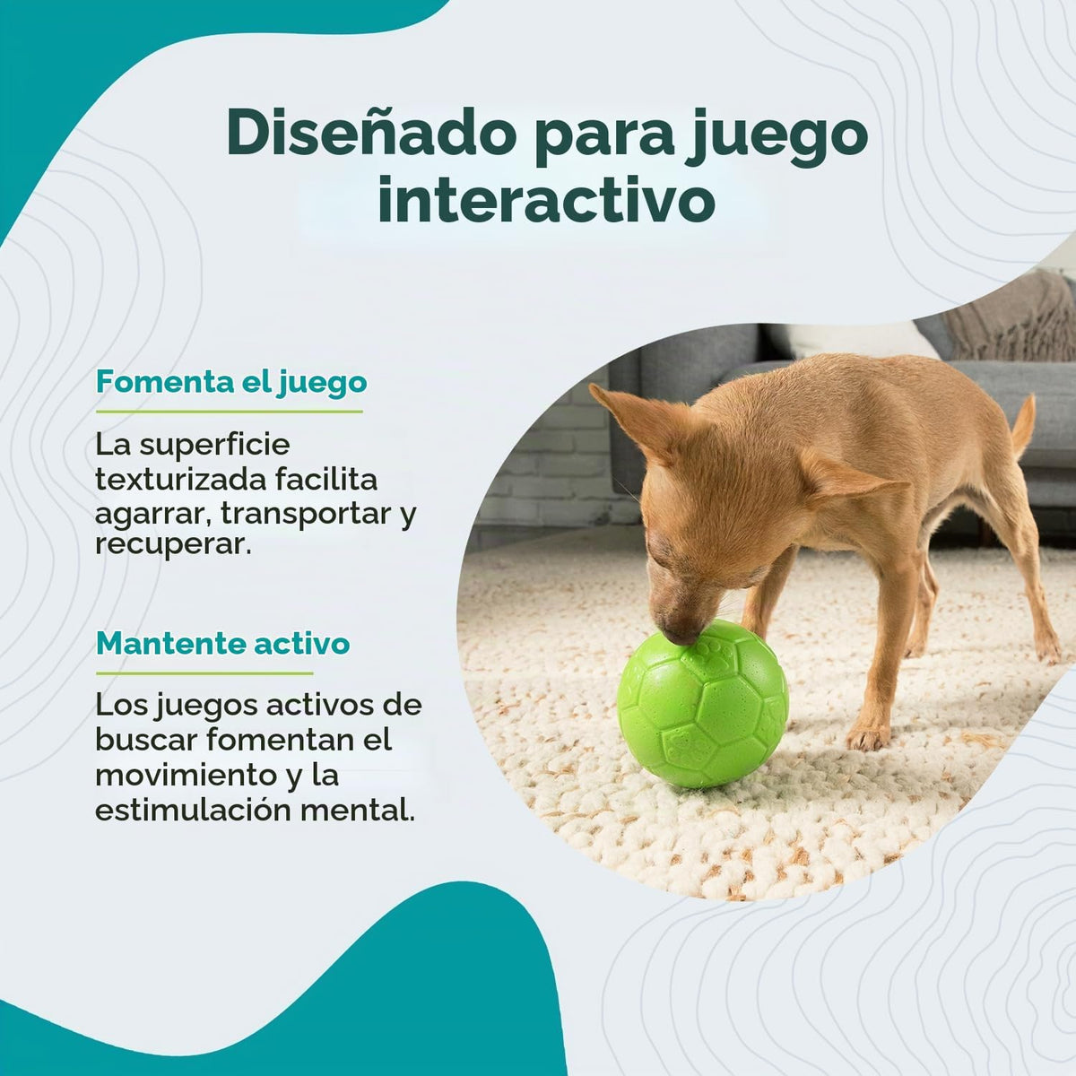 Juguete para perros Jolly Pets de pelota de fútbol flotante y rebot...