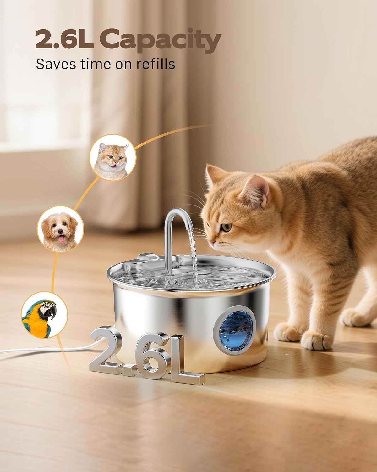 Fuente de agua para gatos de acero inoxidable: fuente para gatos pa...
