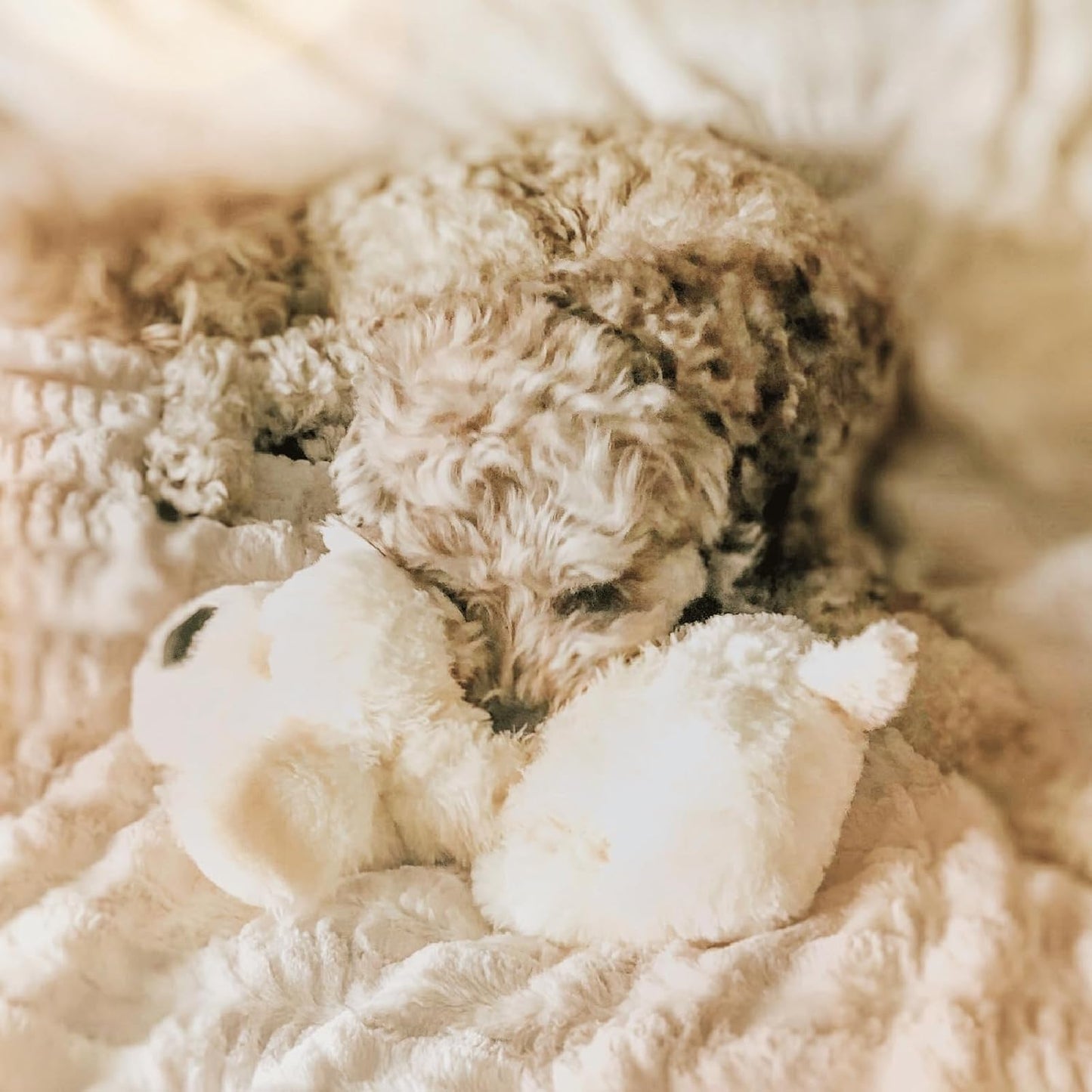 Original Snuggle Puppy - Juguete para cachorros con latido del cora...
