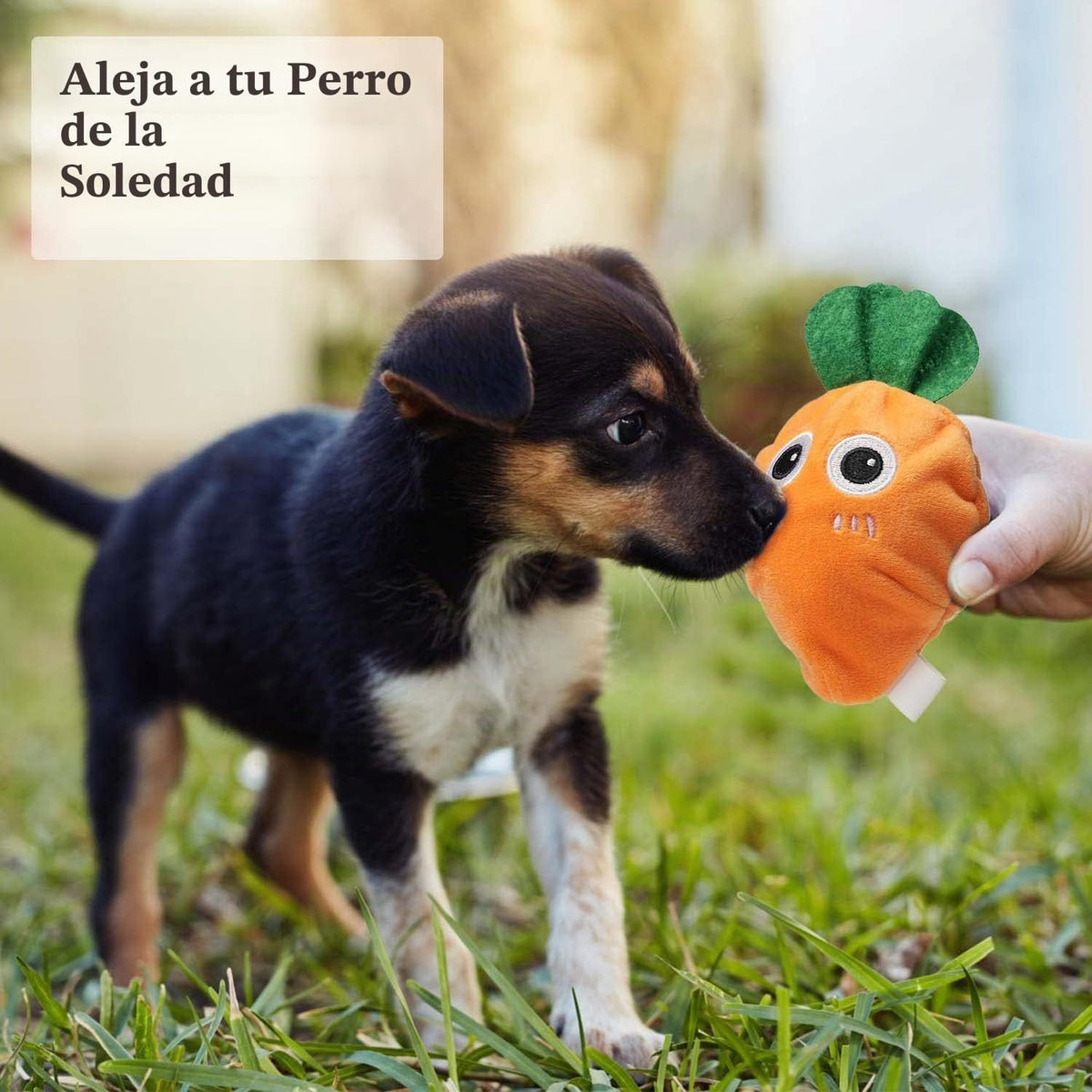 MewaJump - Juguete masticable para perros con pelota, juguete chirr...