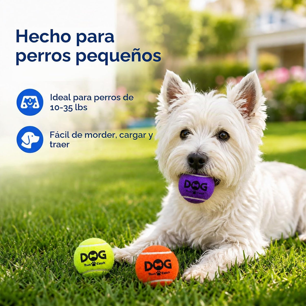 Pelotas de tenis para perros INSUM, paquete de 12 pelotas coloridas...