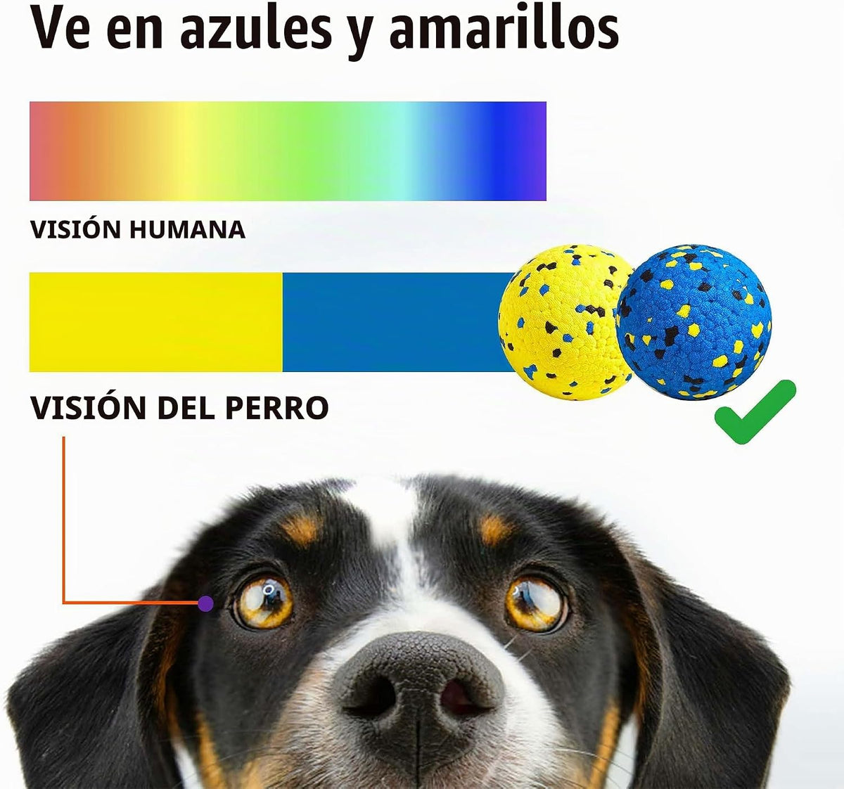 Kimee Pelotas para Perros Pelotas de Tenis para Perros Mejoradas pa...