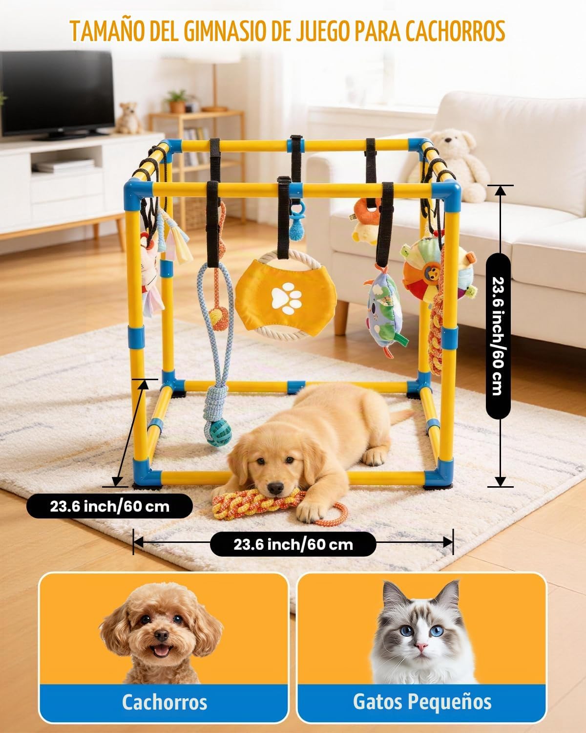 Grevigily Gimnasio de juego para cachorros para perros pequeños, 23...