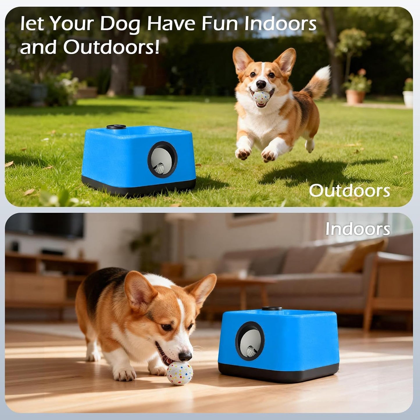 JDXSZ Lanzador automático de pelotas para perros: juguete lanzador...