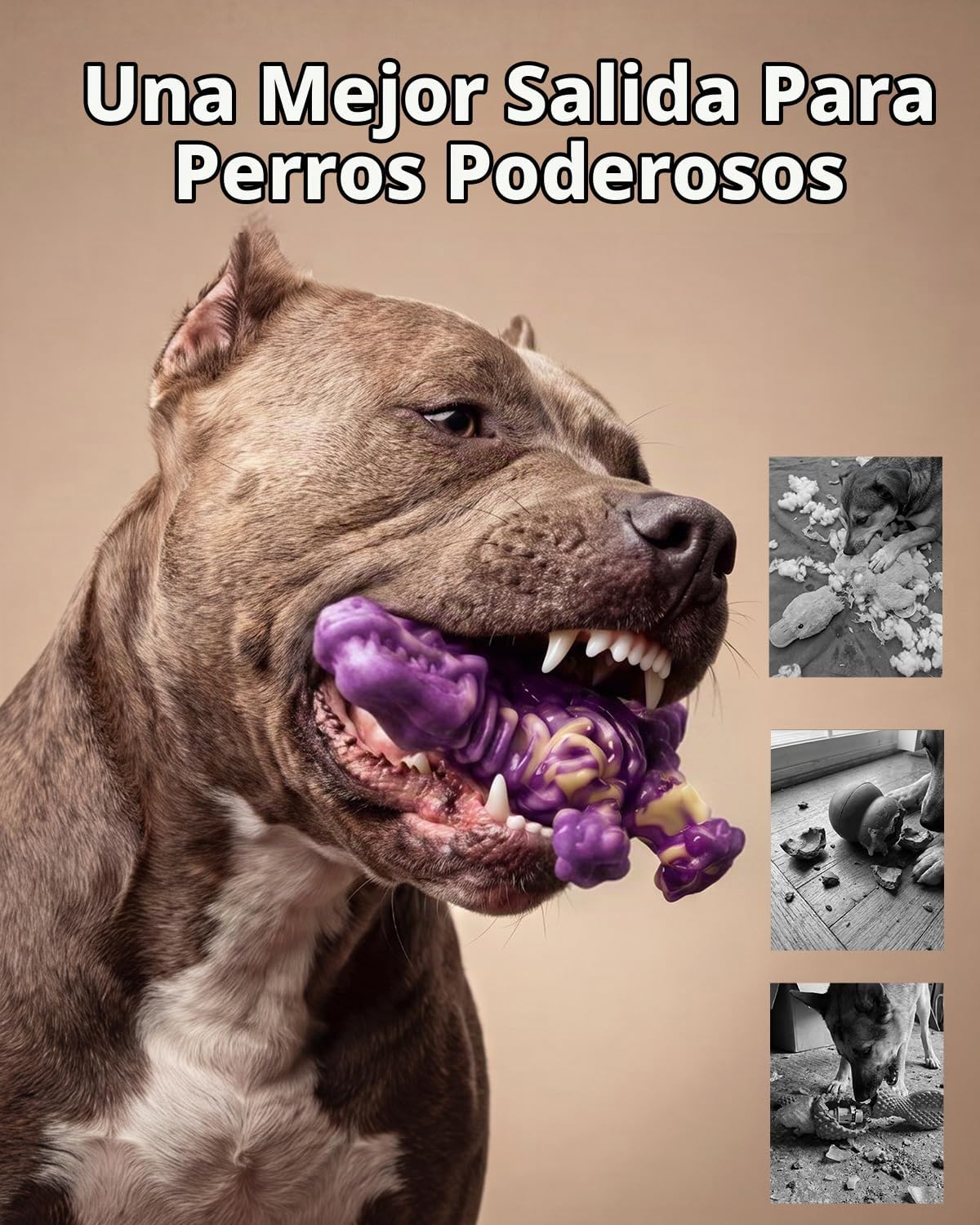 DinoBone Paquete de 2 juguetes masticables para perros resistentes...