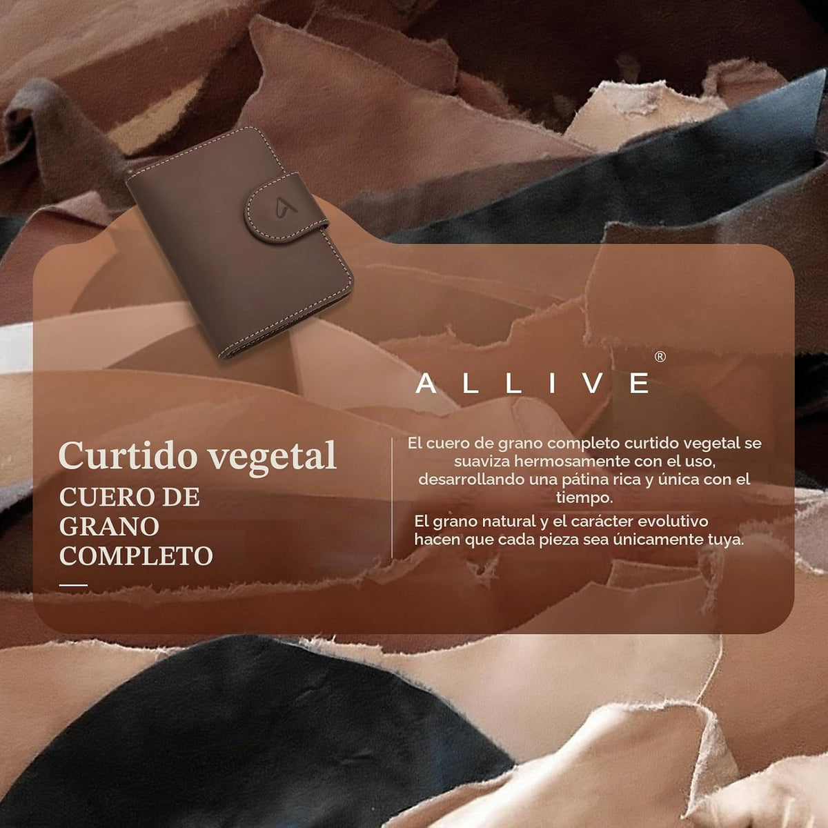 ALLIVE Portapasaportes para viajes, portapasaportes Rfid para mujer...