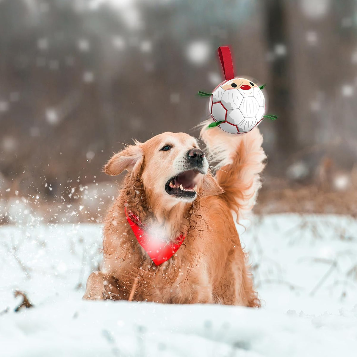 QDAN - Pelotas de fútbol de Navidad con correas para perros, juguet...