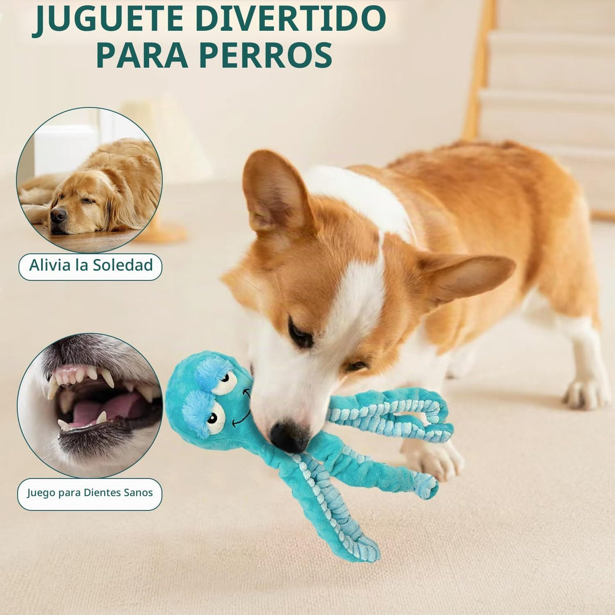Chongqile Juguetes Chirriantes para Perros - Juguetes de Peluche In...
