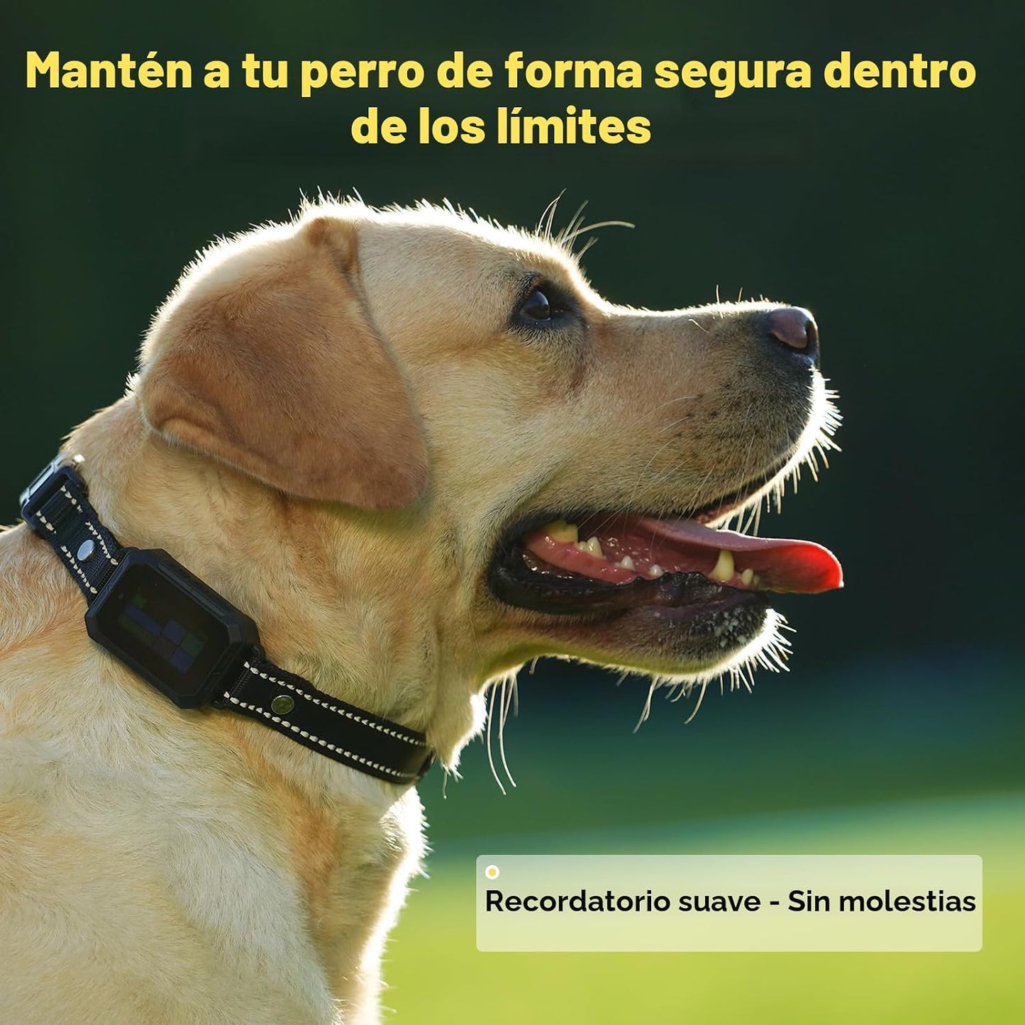 Sistema de valla inalámbrica GPS para collar de perro, control de a...