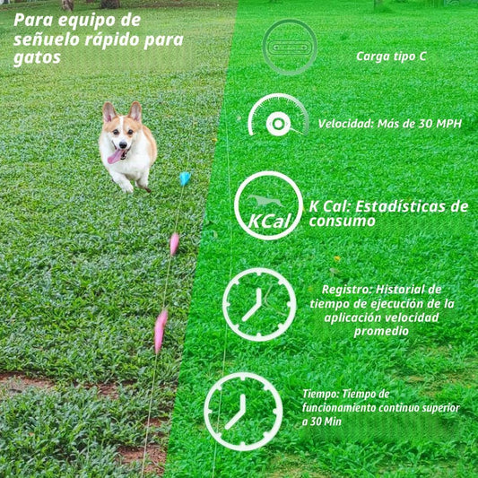 Dowkaco DC-1 - Máquina de curso de señuelos para perros, línea moto...