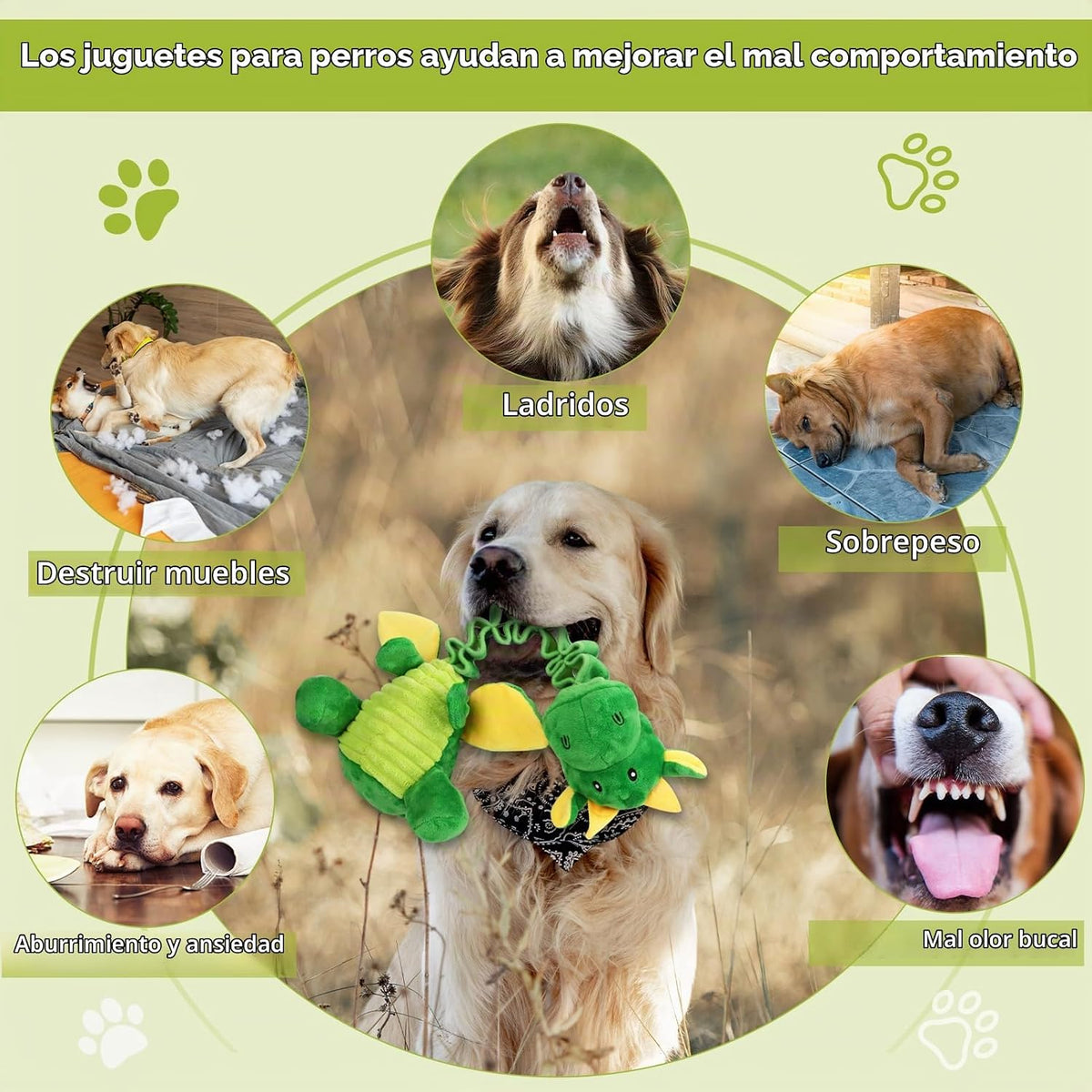 Eneston Juguetes Grandes Chirriantes para Perros, Juguetes de Tira...