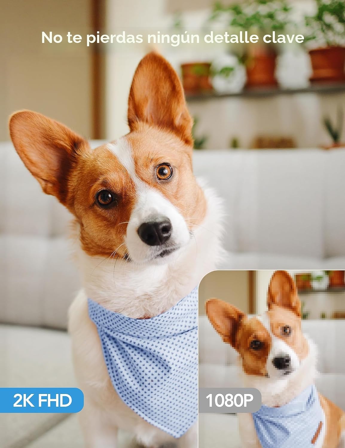 GNCC Cámaras 5G para seguridad en el hogar interior, mascota\/perro...