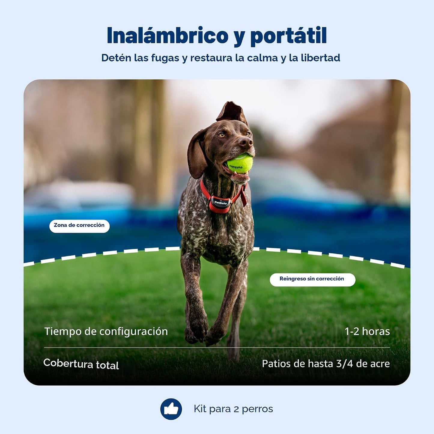 PetSafe Stay &amp; Play - Valla inalámbrica para 2 perros obstinado...