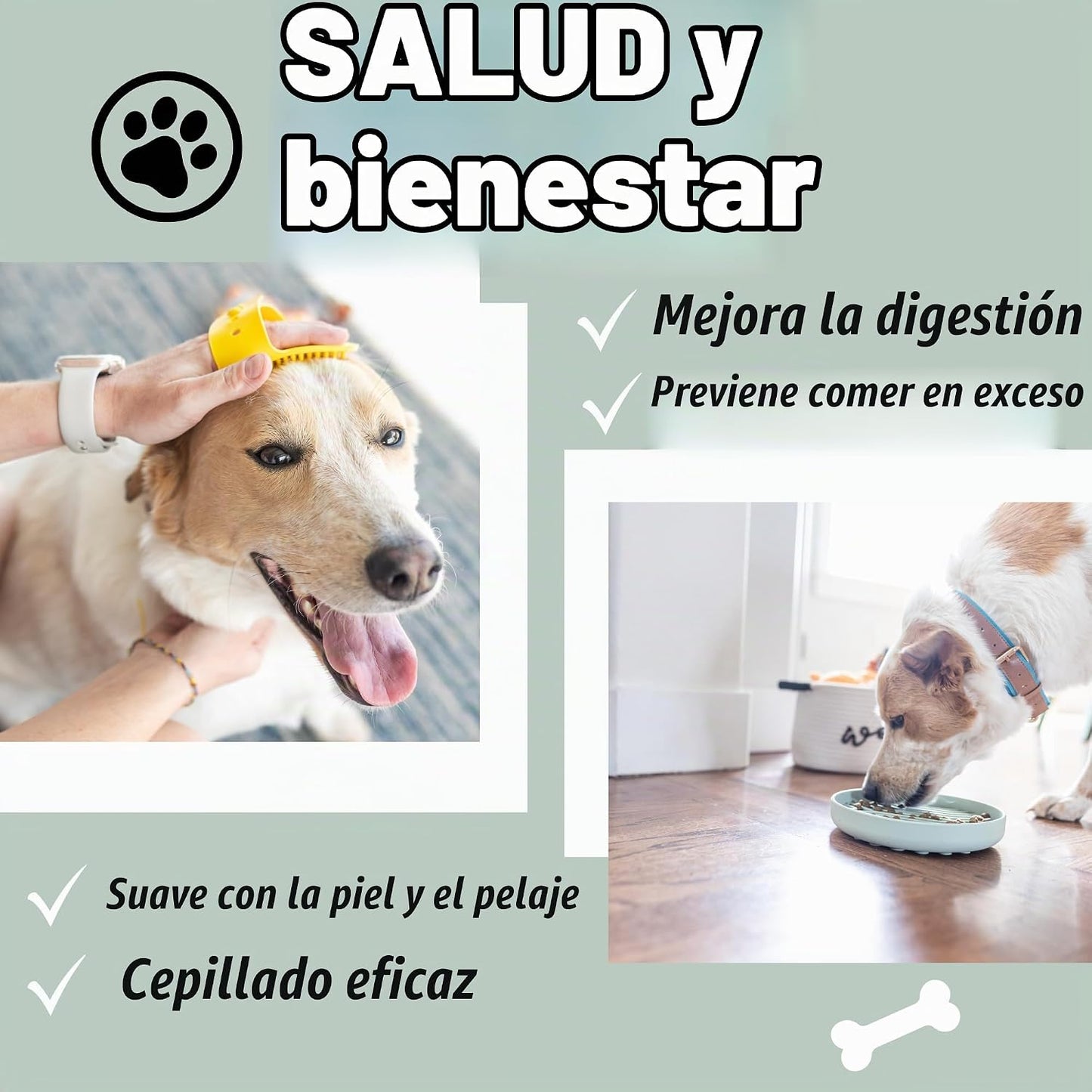 Cesta de regalo para cachorros nuevo de Paws For Reaction - Kit ini...