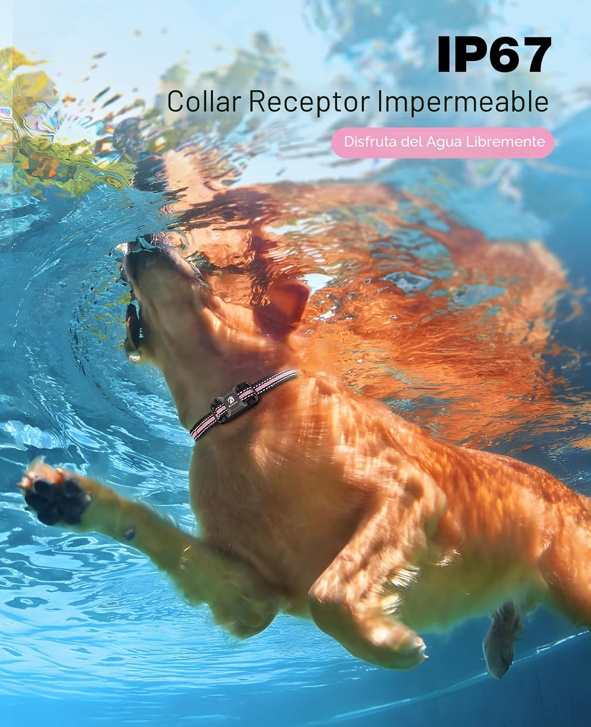Bousnic Collar de choque para perro, collar de entrenamiento de per...