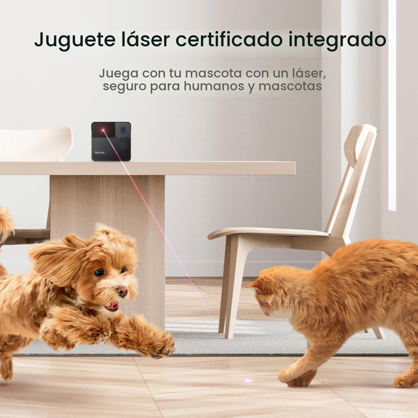 Petcube Play 2 Cámara Wi-Fi para mascotas con juguete láser para ga...