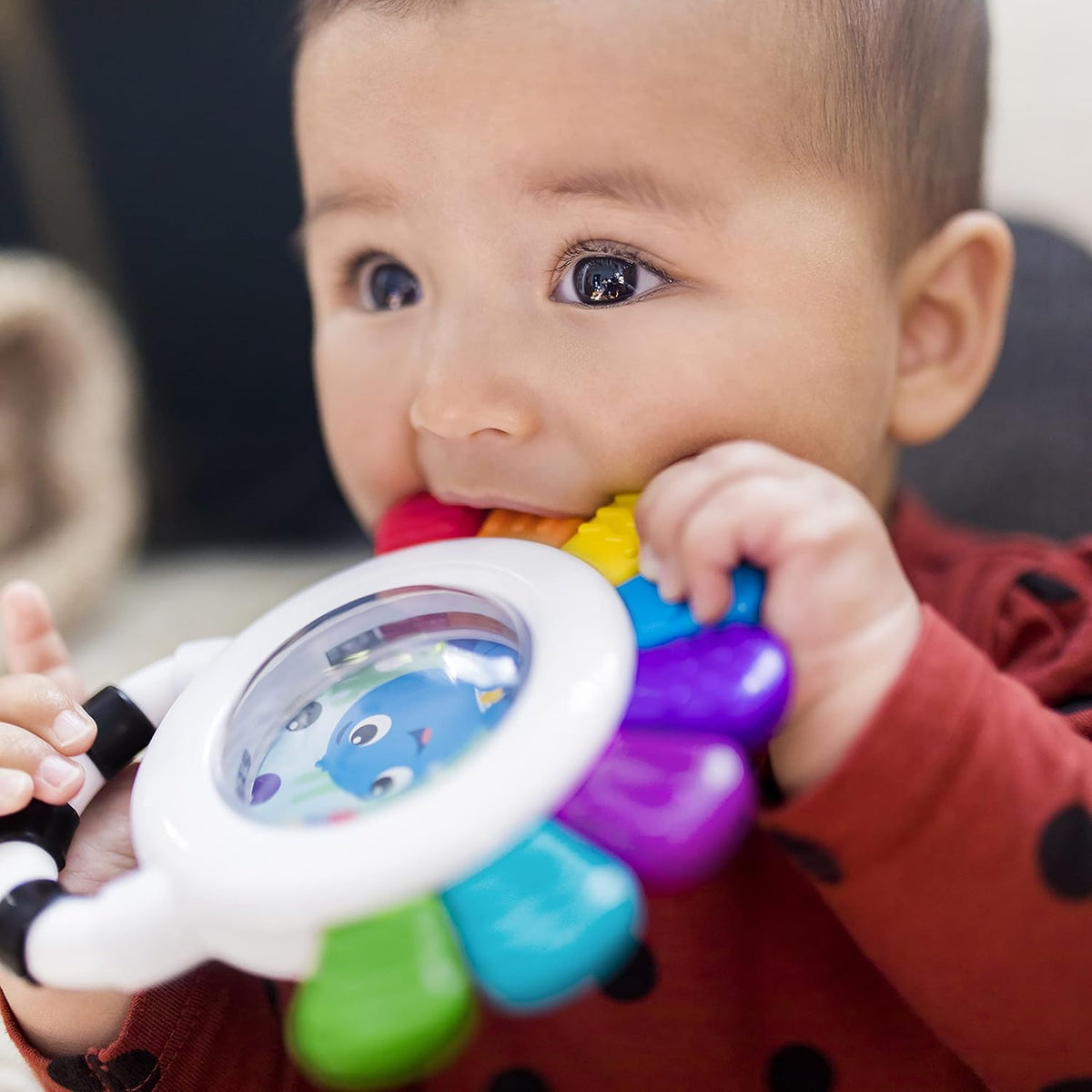 Baby Einstein Opus Sea of Senses - Set de regalo de juguetes para b...