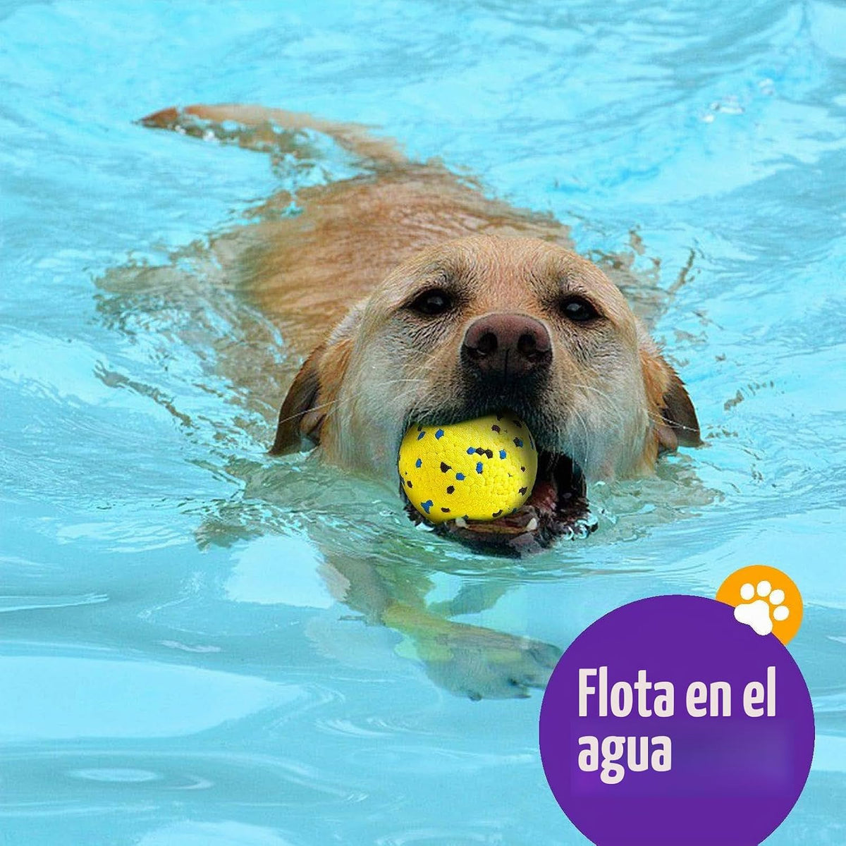 Kimee Pelotas para Perros Pelotas de Tenis para Perros Mejoradas pa...