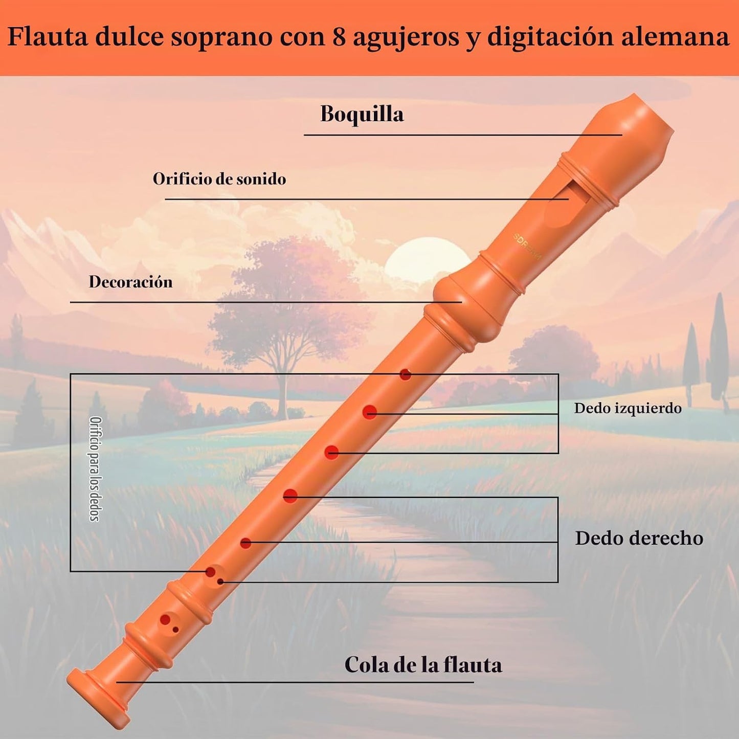 SDREAM Instrumento de Flauta Dulce Soprano para Niños y Adultos - F...