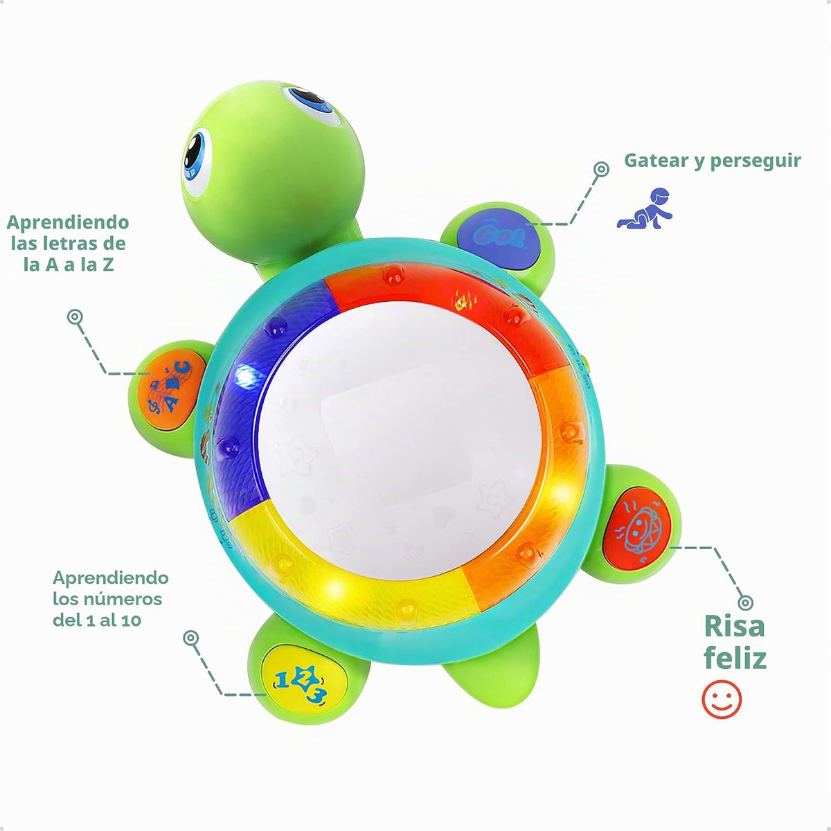 iPlay, iLearn Juguete musical de tortuga para bebé, aprendizaje bil...