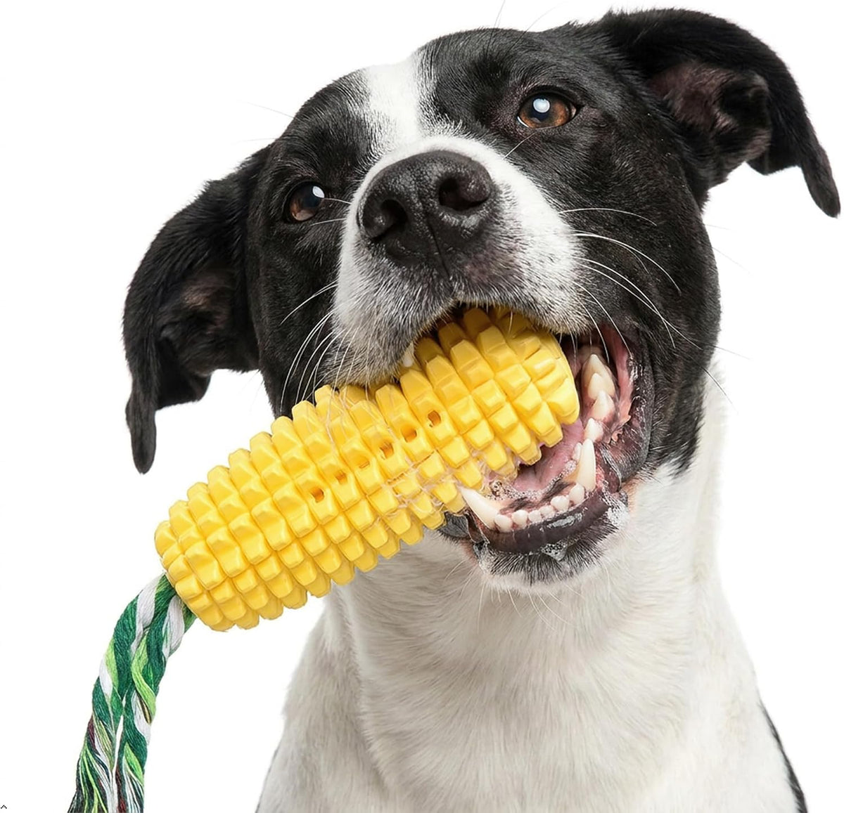 Carllg Juguetes masticables para perros para masticadores agresivos...