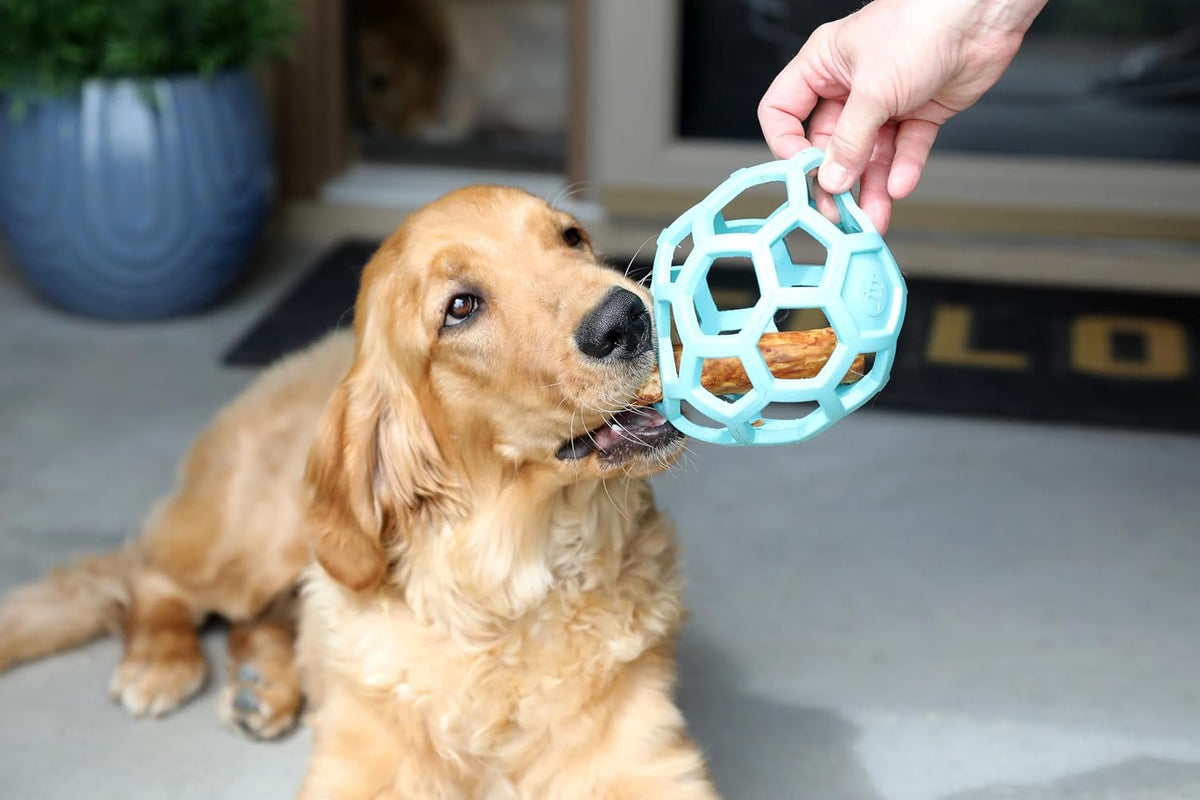 JW Pet HOL-ee Roller™, bola de rompecabezas de juguete para perros,...