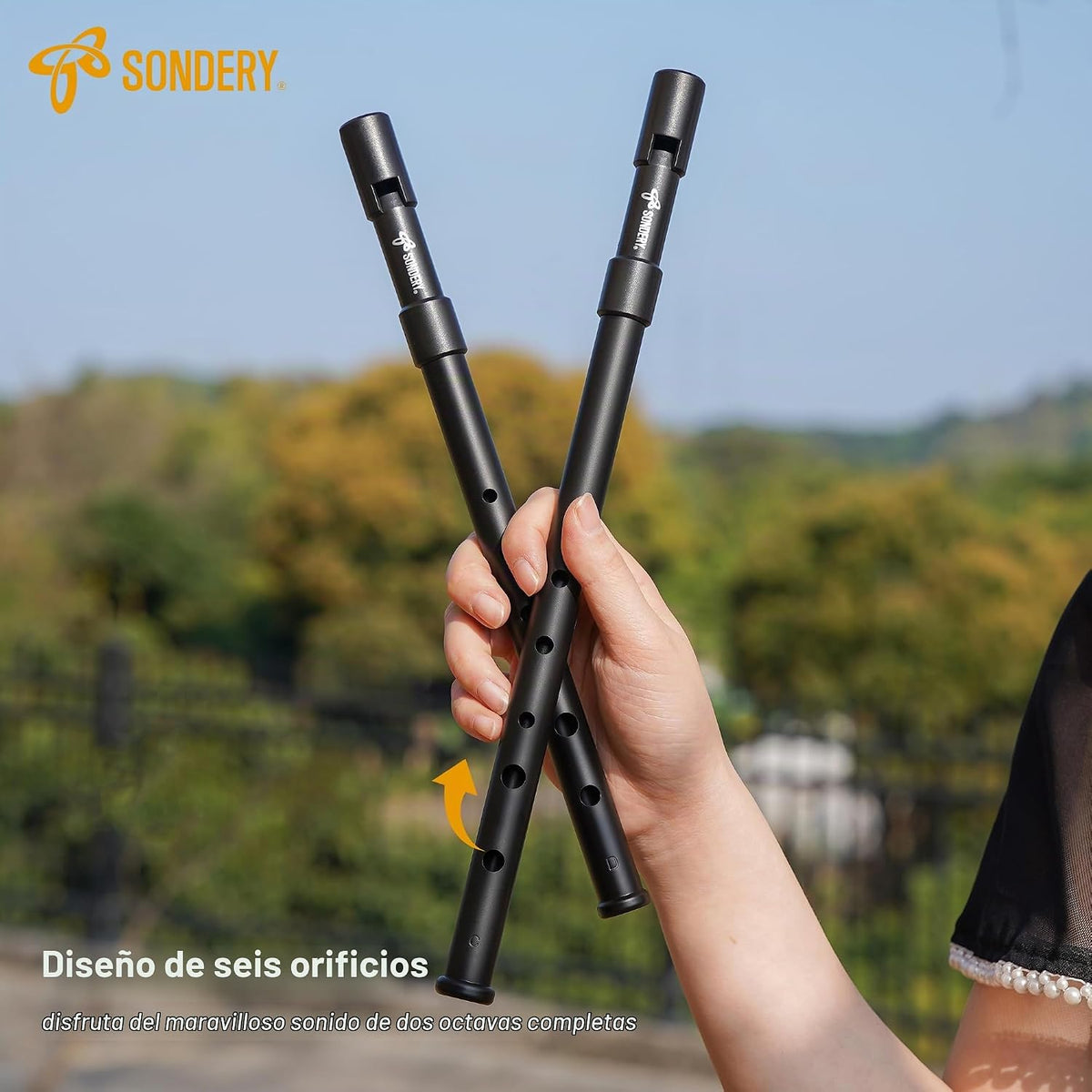 Sondery Juego de Silbato Irlandés de Hojalata Clave de Do y Clave d...