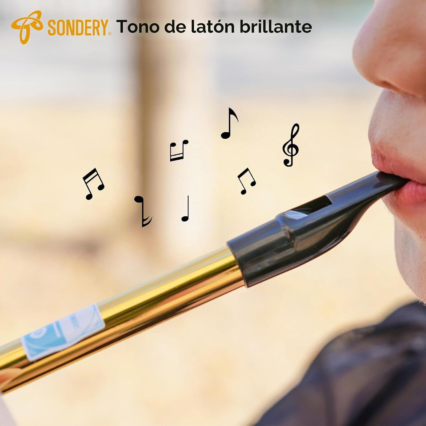 Sondery Silbato Irlandés de Lata Clave de Re Hecho de Latón Tipo Vi...