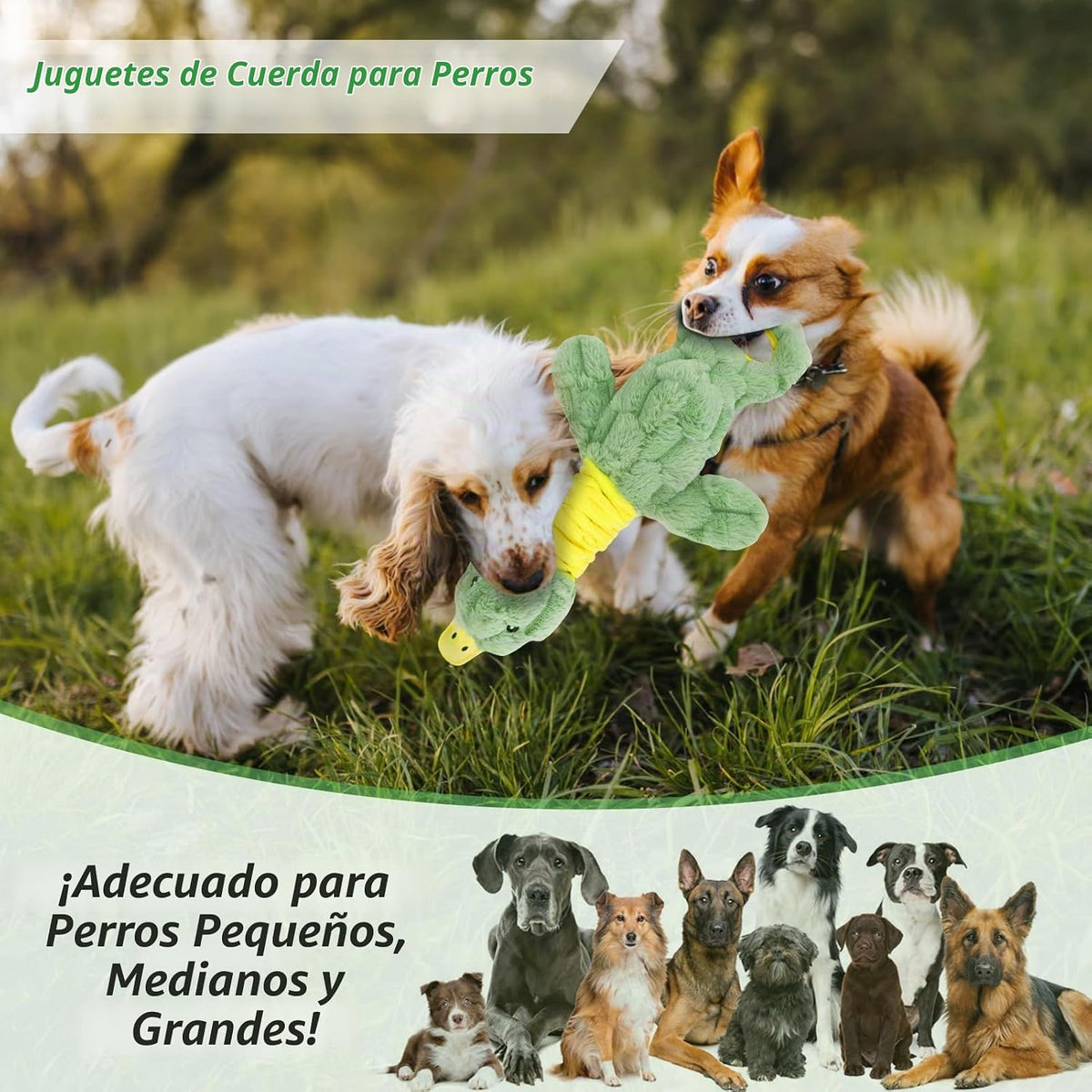 Eneston Juguetes chirriantes de felpa grandes para perros, juguetes...