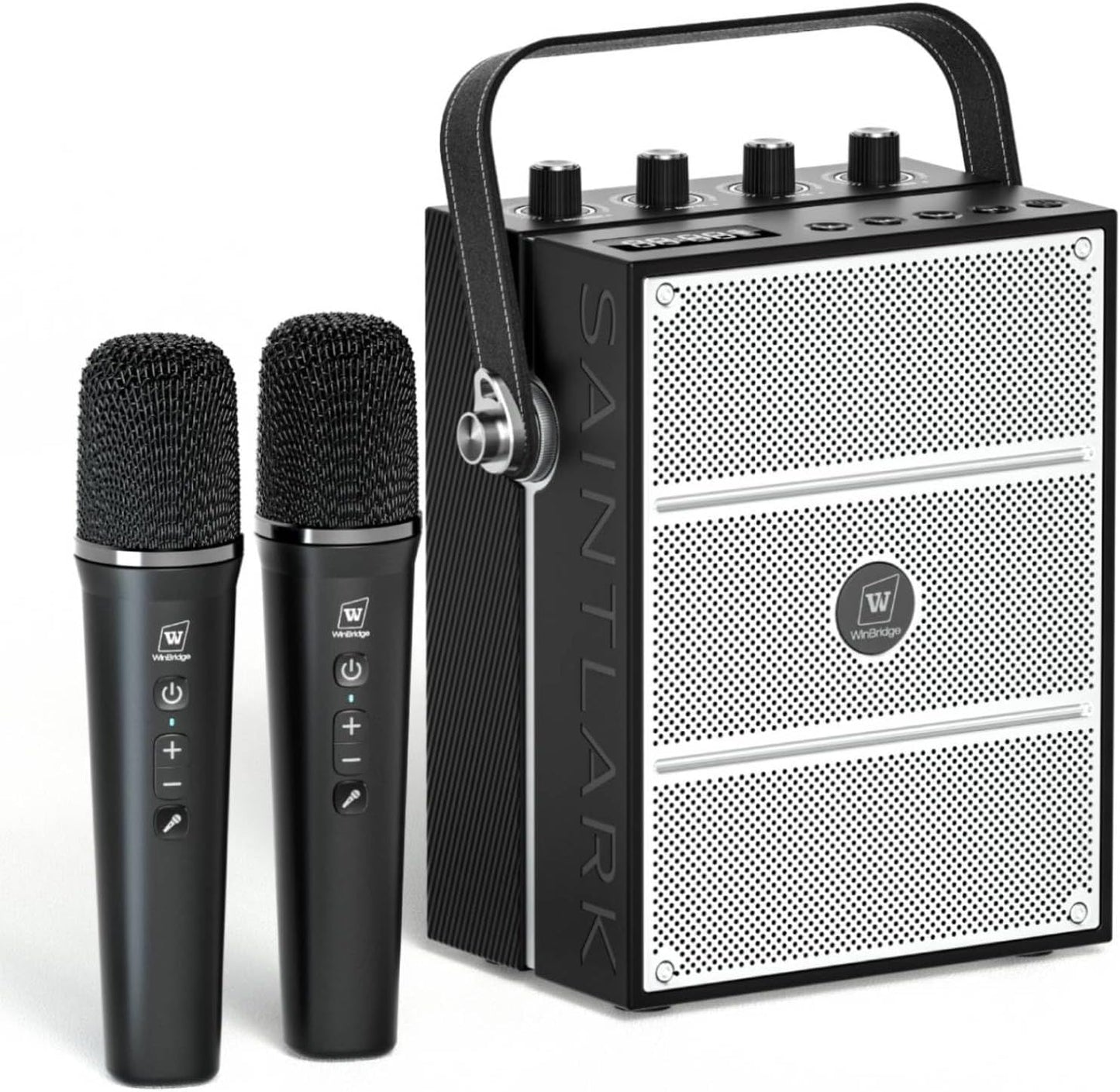 Amplificador de voz potente de 100 W con 2 micrófonos inalámbricos...