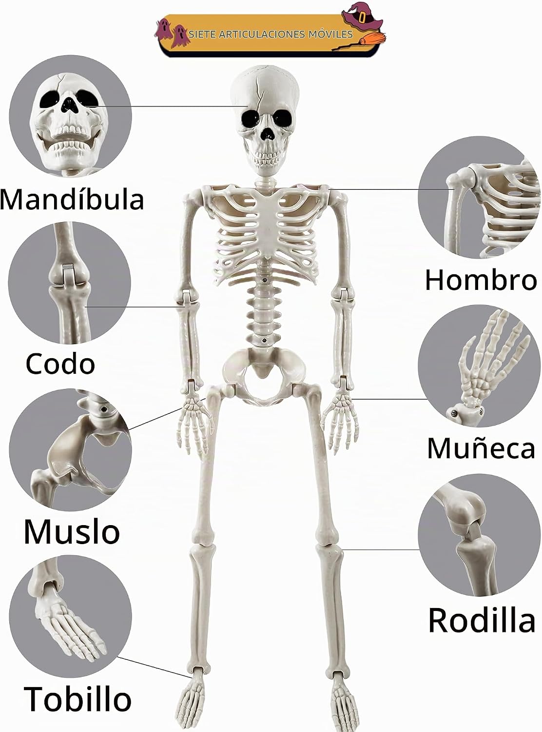 tkgpe - Decoraciones de Halloween para exteriores, paquete de 2 dec...