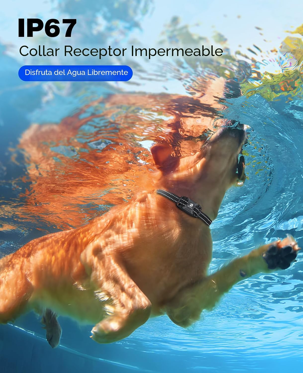 Collar de Descarga para Perros Bousnic - Collar de Entrenamiento de...