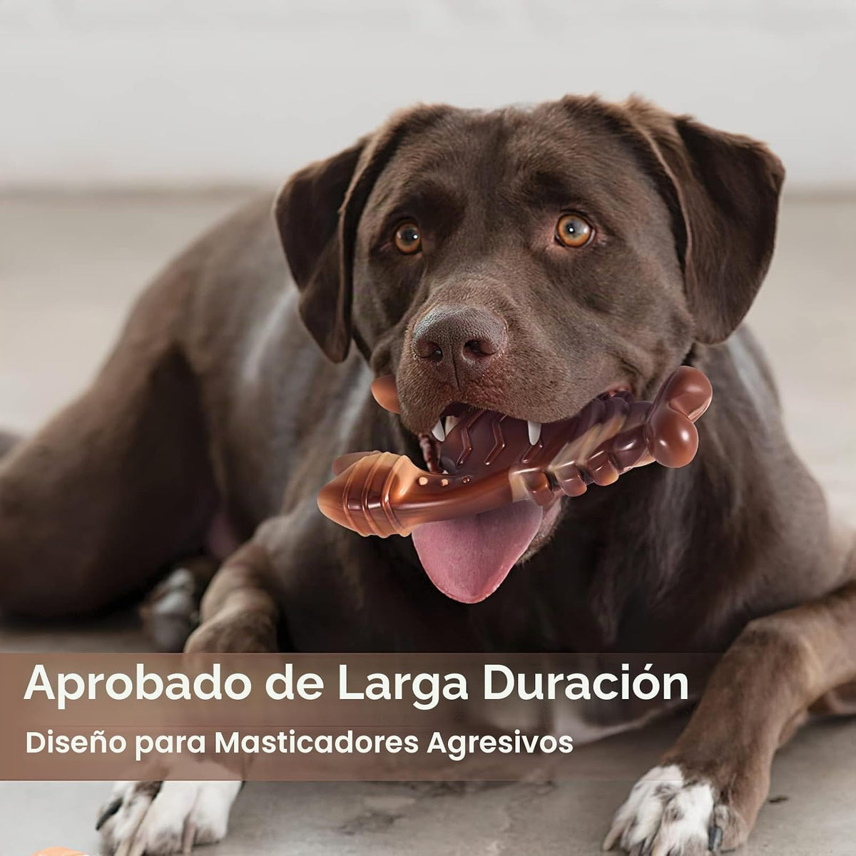 PETSTA Juguetes indestructibles para perros masticadores agresivos,...