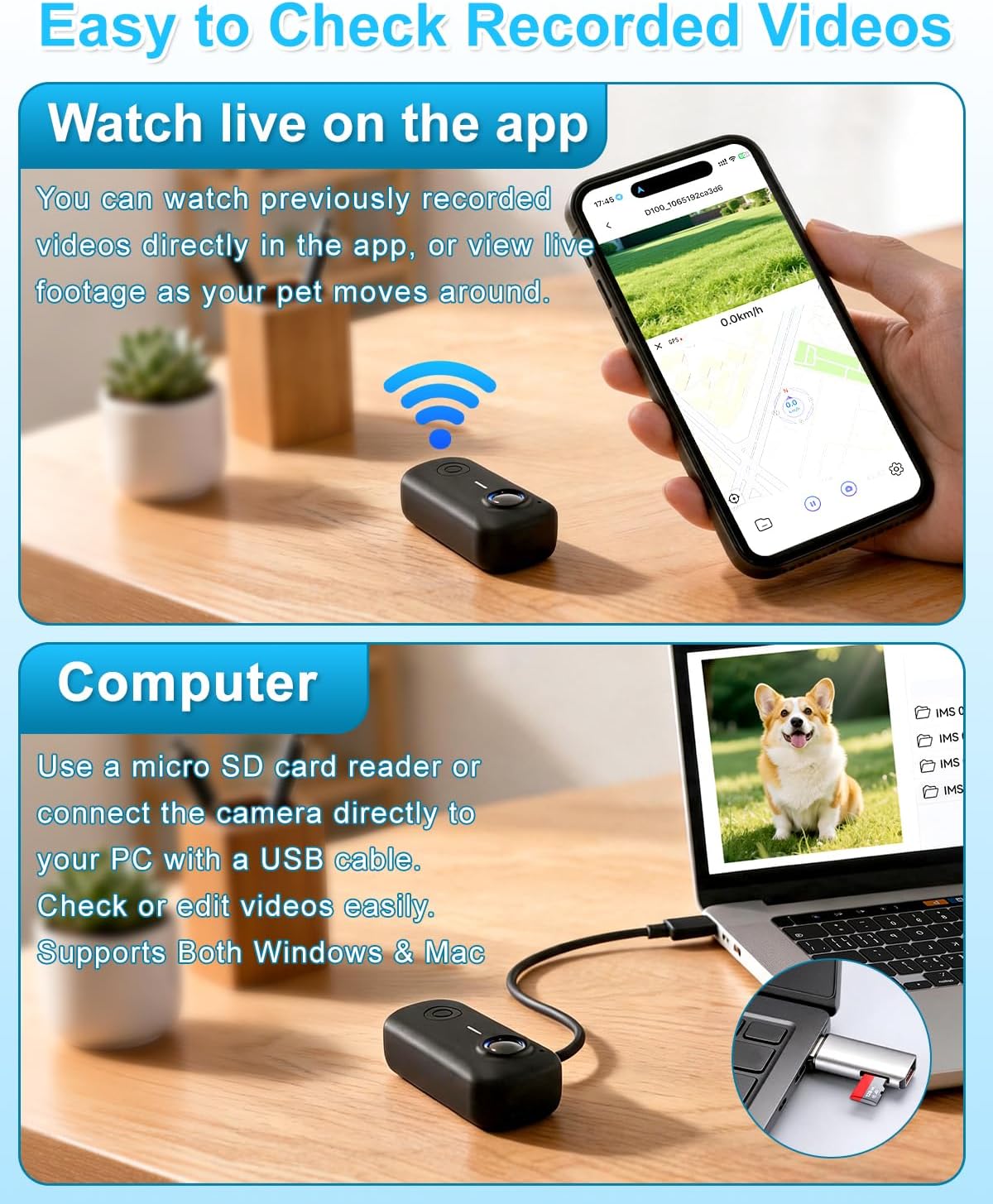 Collar de cámara para gatos con aplicación de teléfono y grabación...