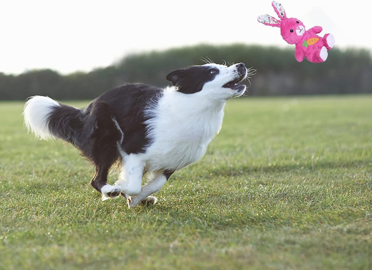 DODODOLA Juguetes de peluche duraderos para perros con papel arruga...