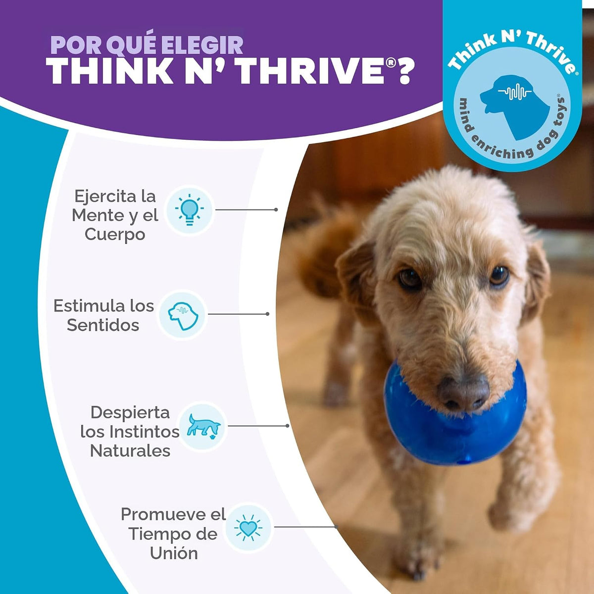 Planet Dog Orbee-Tuff Lil' Snoop - Juguete interactivo para per...