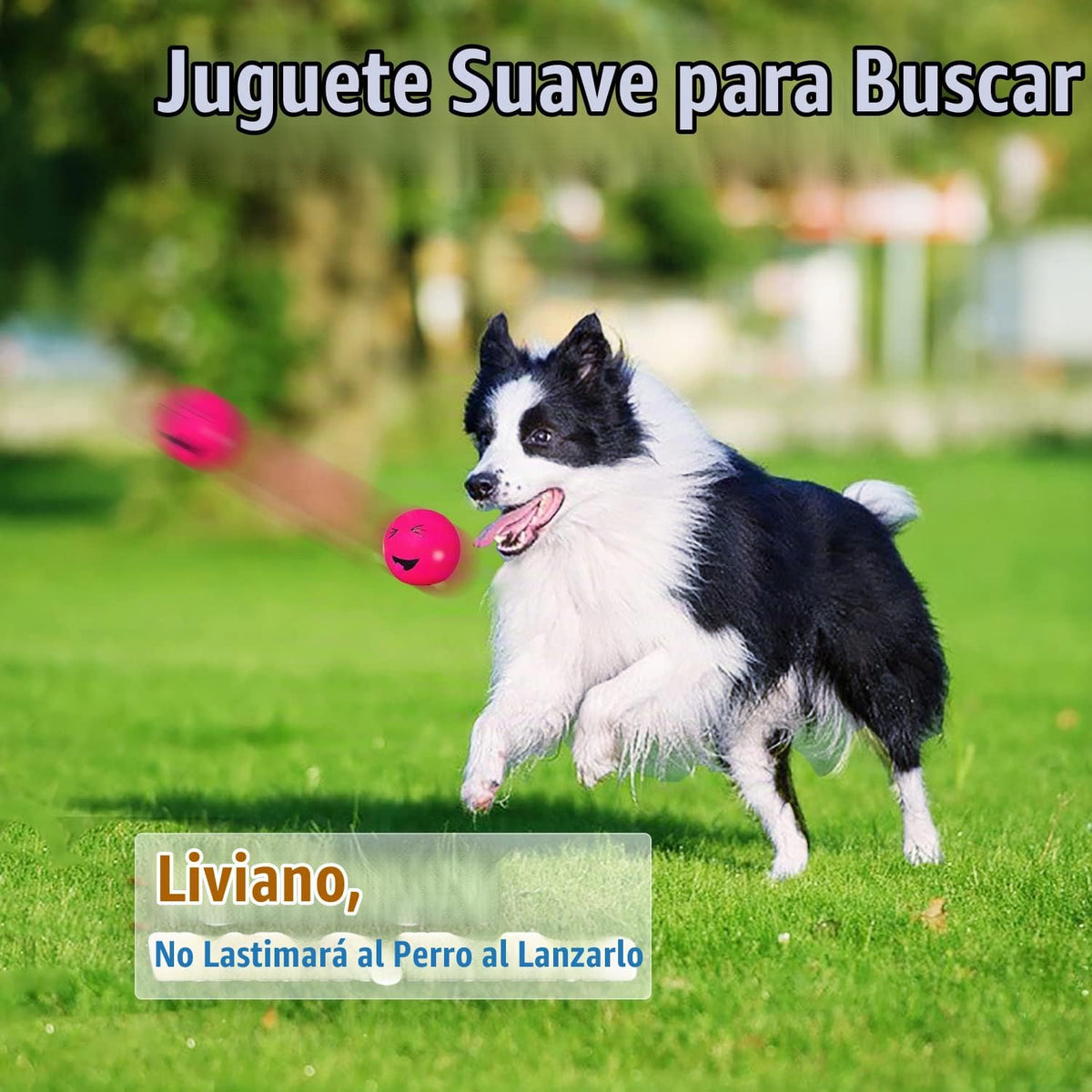 HOLYSTEED Juguetes chirriantes para perros medianos, bolas chirrian...
