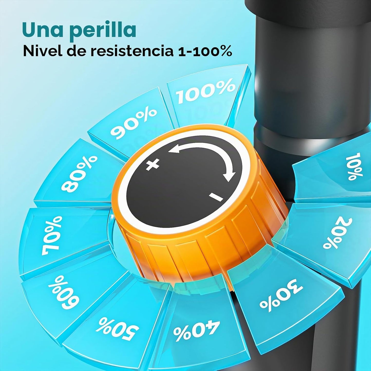 ERGOLIFE - Escalera escalonada con resistencia ajustable de 6 nivel...