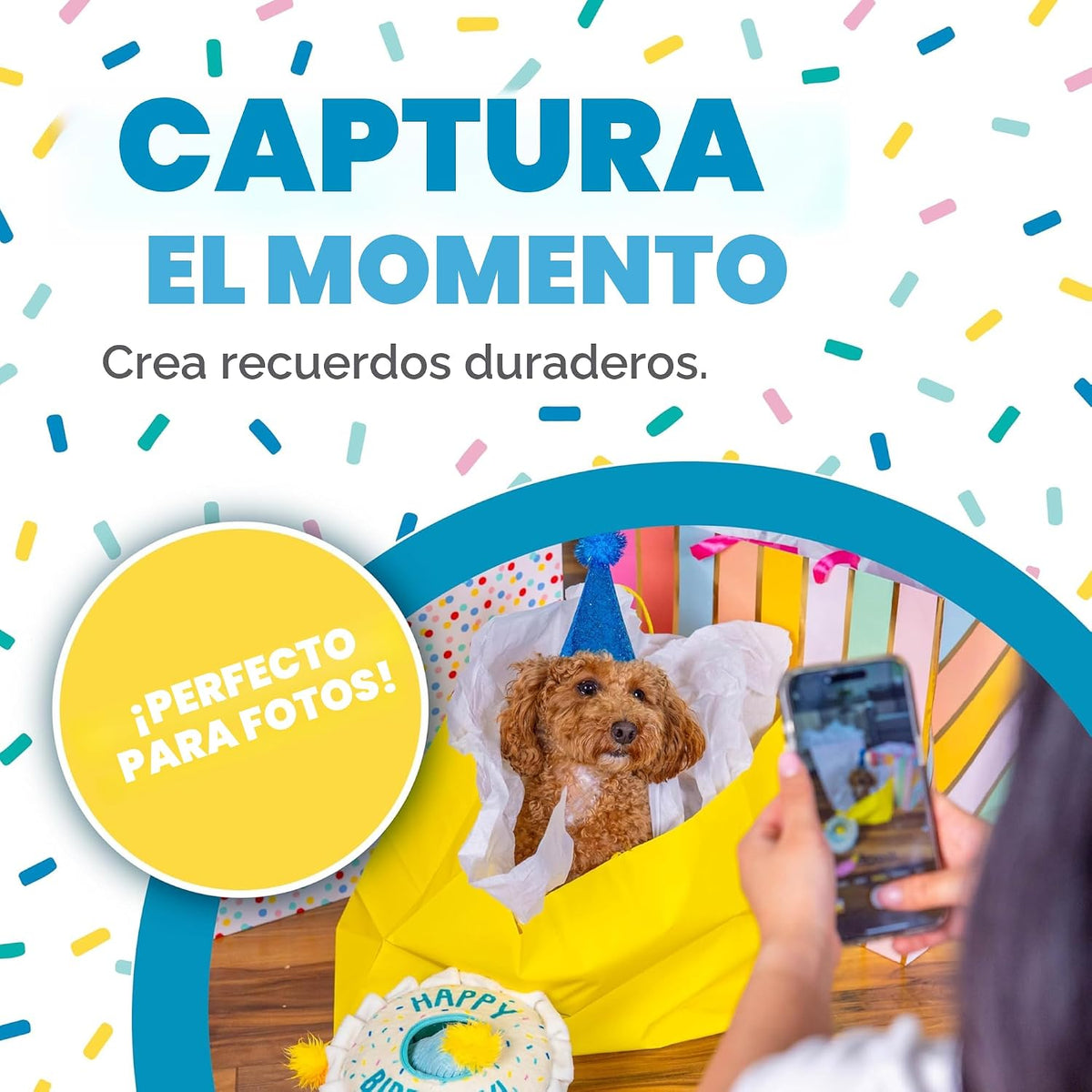 Outward Hound Hide A Birthday Cake, rompecabezas de peluche con tem...